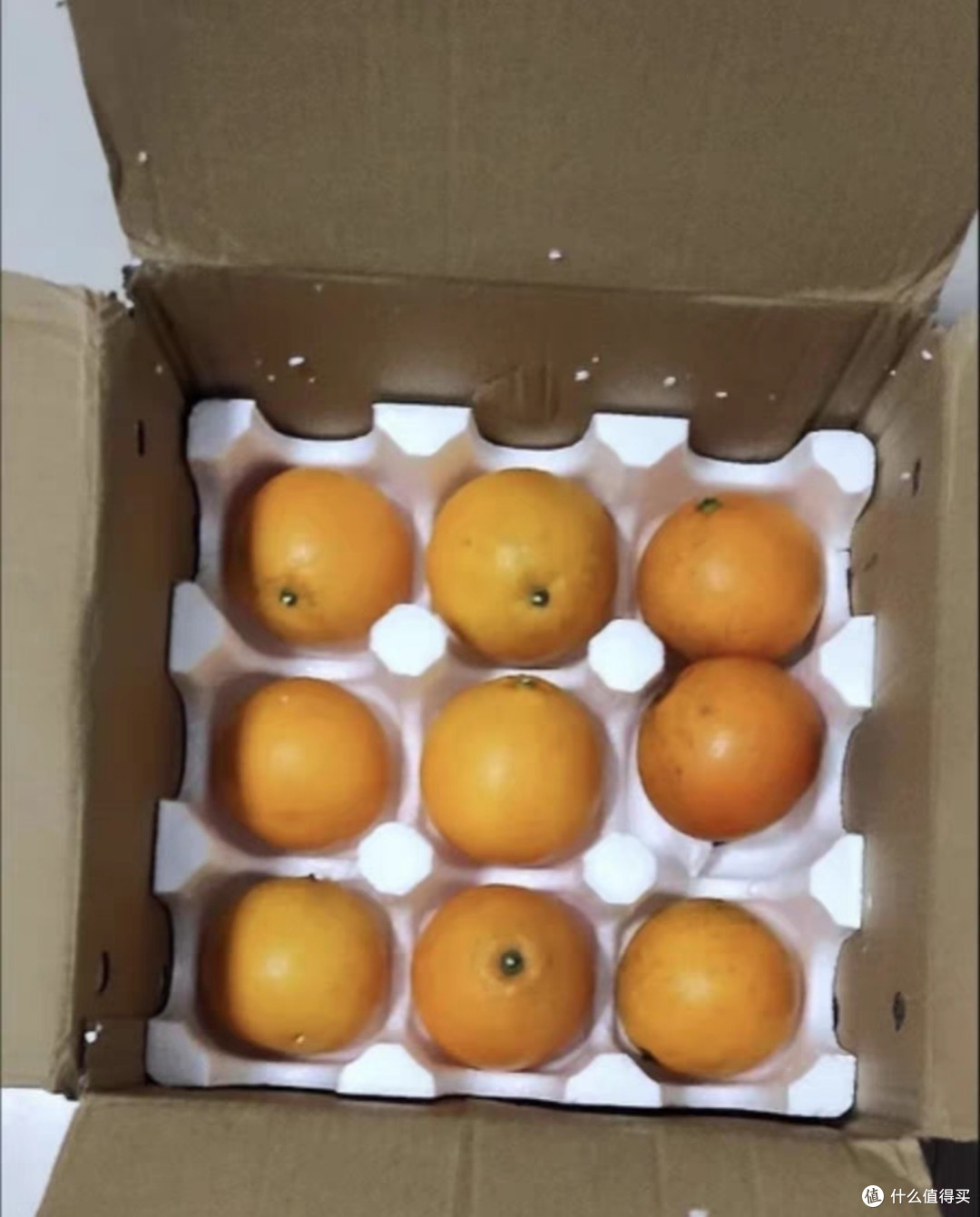 秋季预防疾病,可以多吃水果