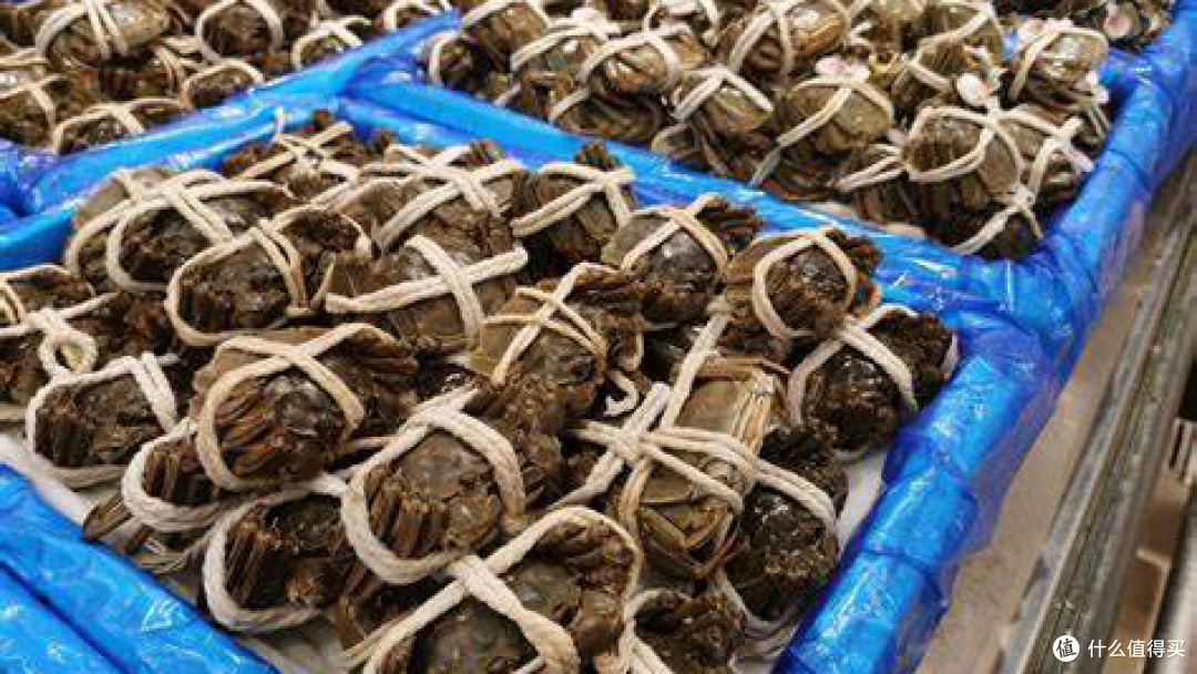 大闸蟹我这样选对不对