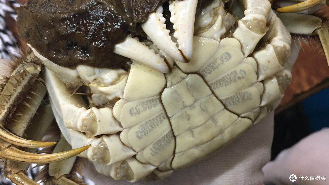 大闸蟹我这样选对不对