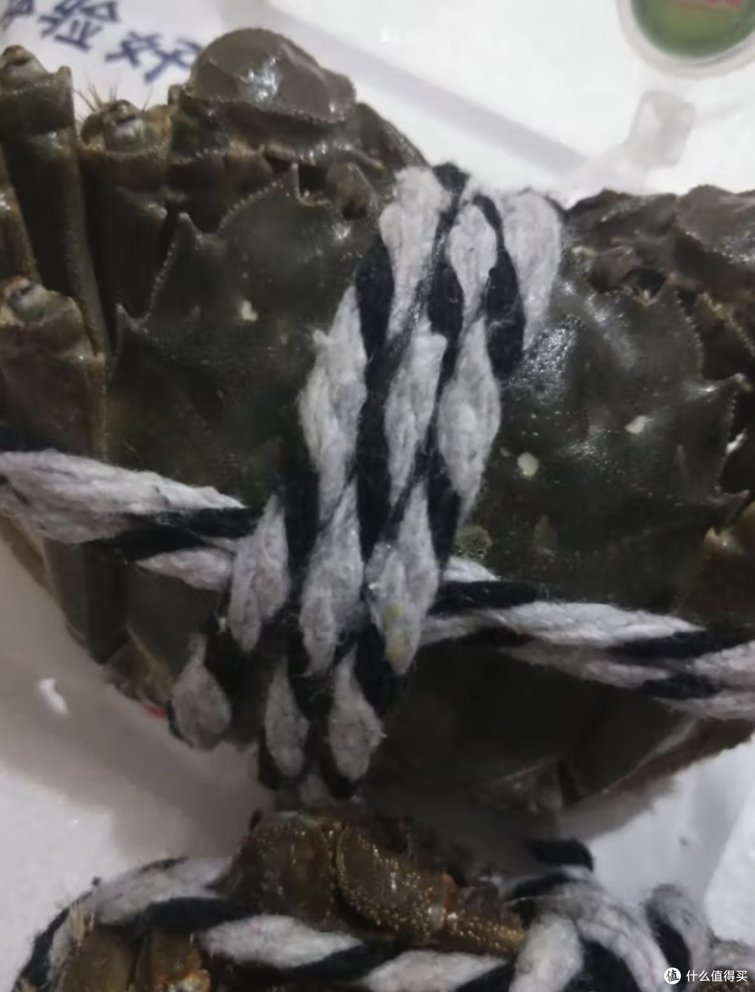 大闸蟹:口感鲜美,营养丰富