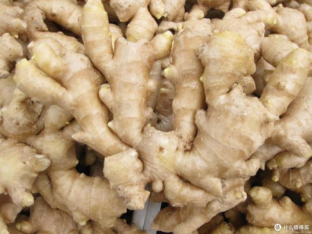 秋日食补很重要,常见病预防之健康营养食品选购攻略