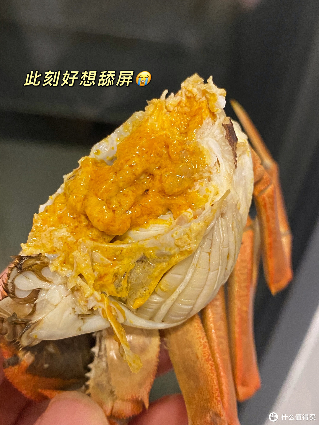 🦀【夏日美味，阳澄湖大闸蟹登场！】🦀