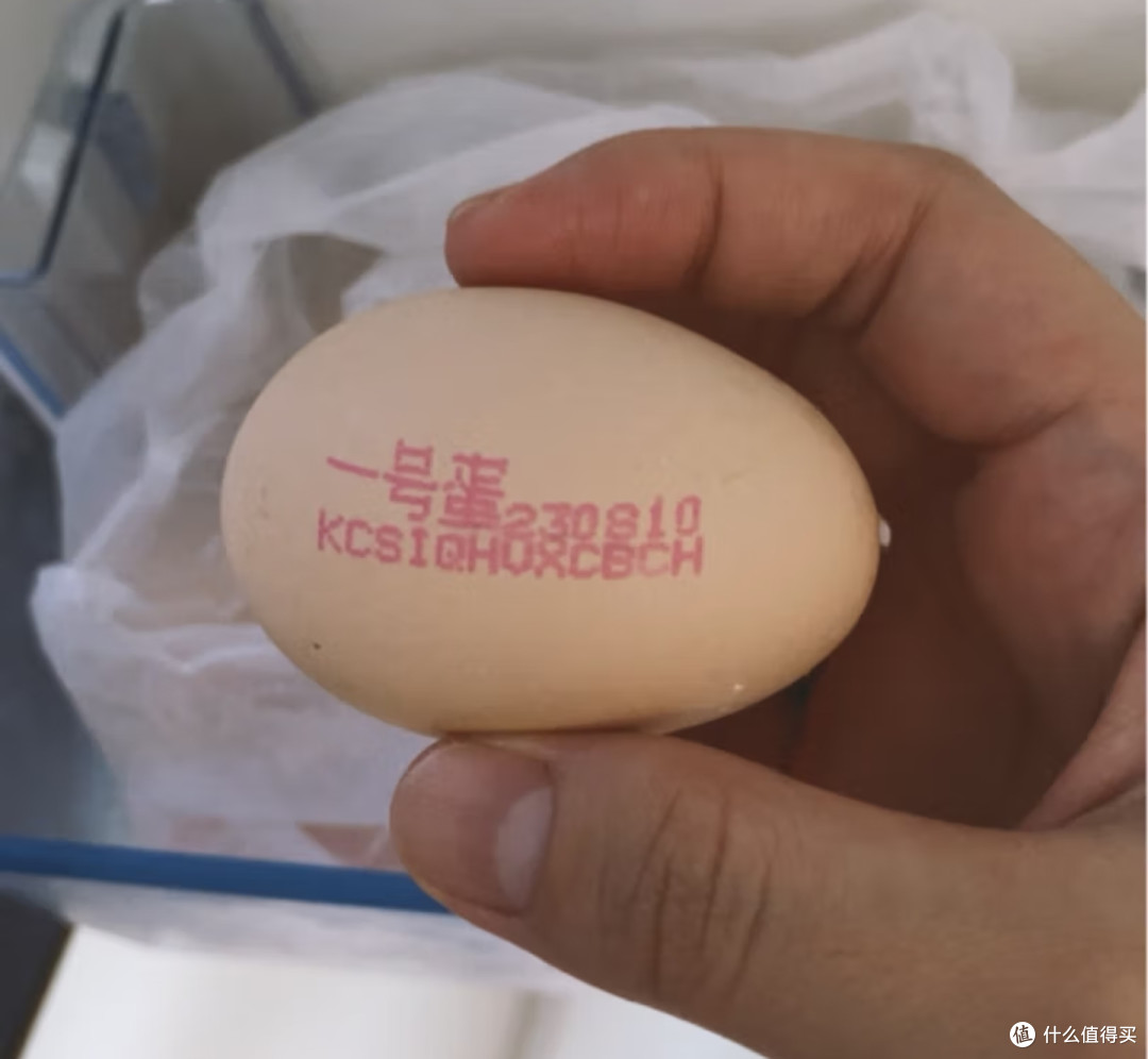 秋冬季节,食补我推荐这些!