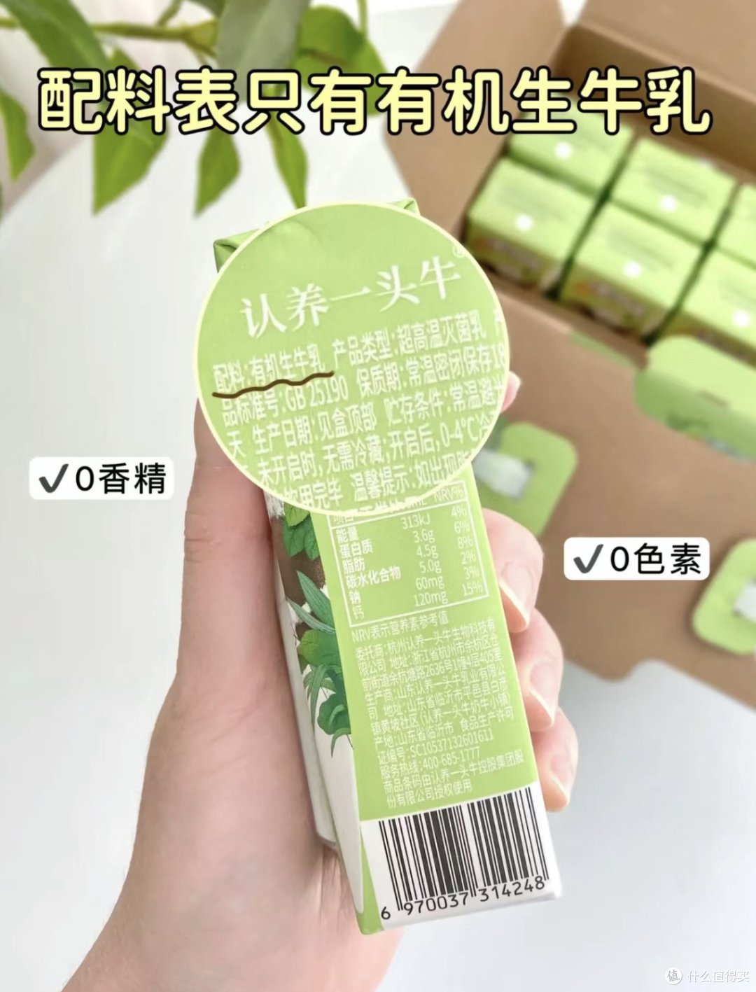 都在喝茅台厚乳牛奶?来看喝了能开车的牛奶