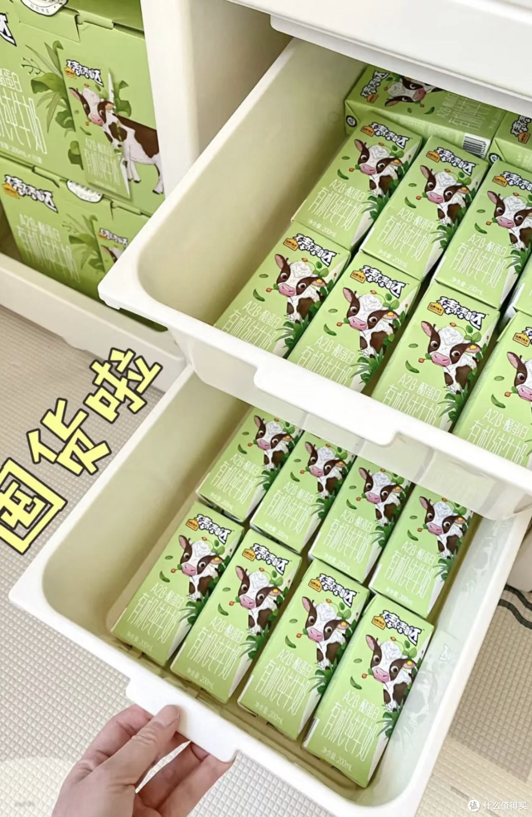 都在喝茅台厚乳牛奶?来看喝了能开车的牛奶