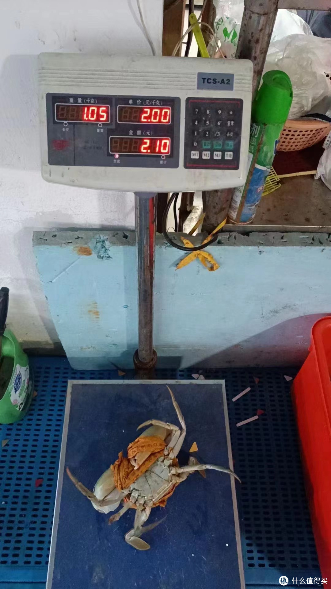 金秋大闸蟹、是阳澄湖大闸蟹!