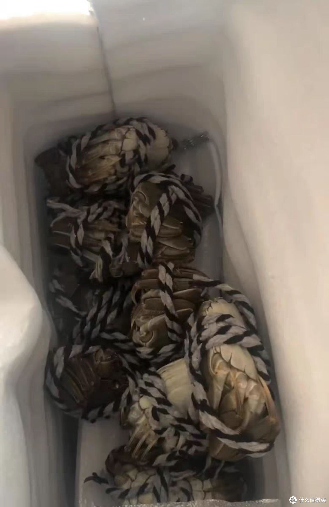 秋天的第一只蟹应该怎么吃