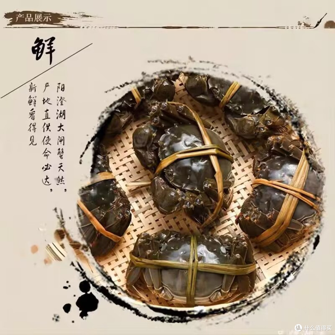 九月蟹后你,阳澄湖大闸蟹