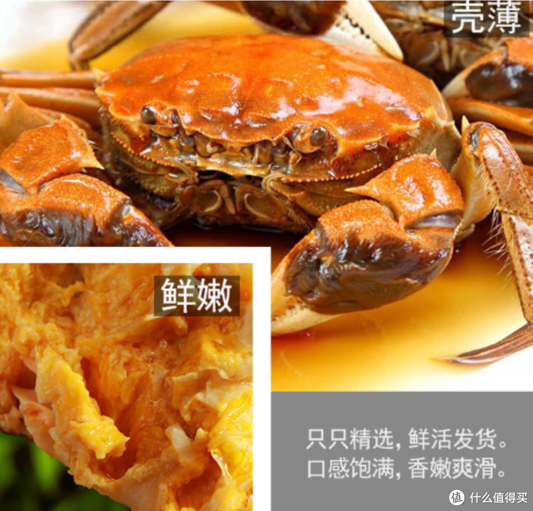金秋九月吃螃蟹——品尝江苏鲜活大闸蟹的绝佳时节
