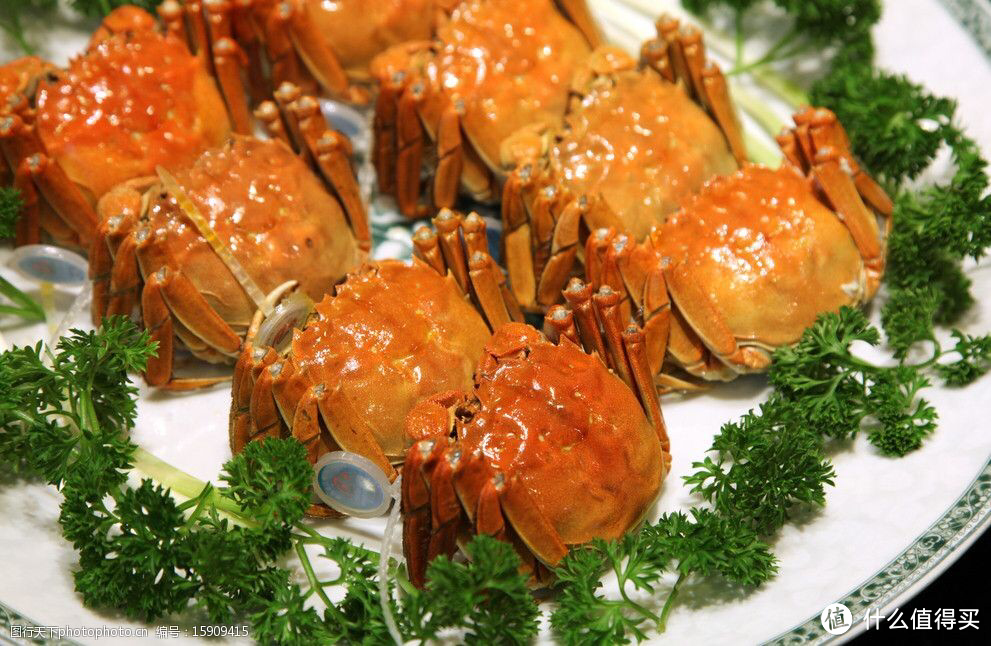 美味撩拨的大闸蟹，秋日的舌尖盛宴！