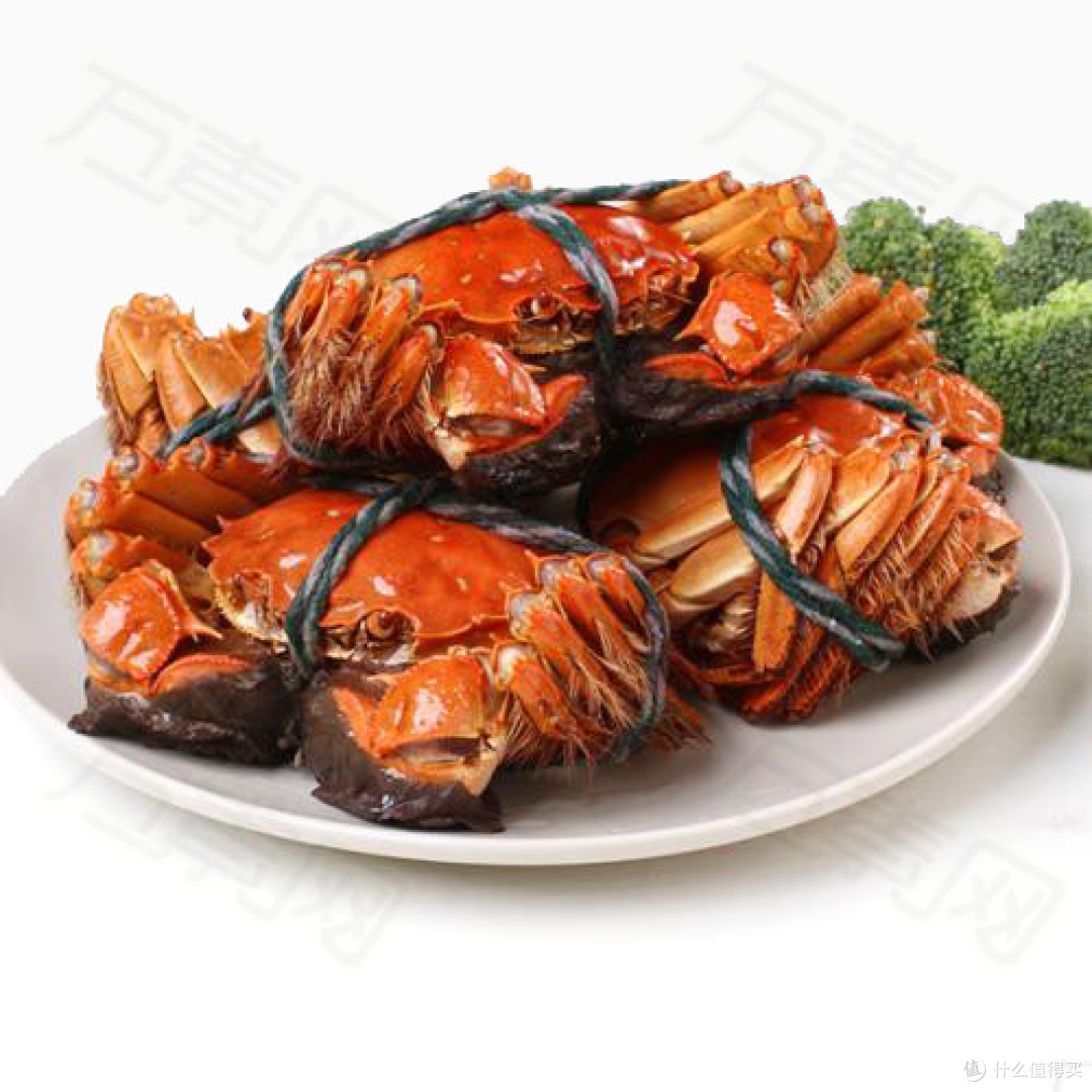 品味秋天的醉人鲜香——大闸蟹的美味诱惑！