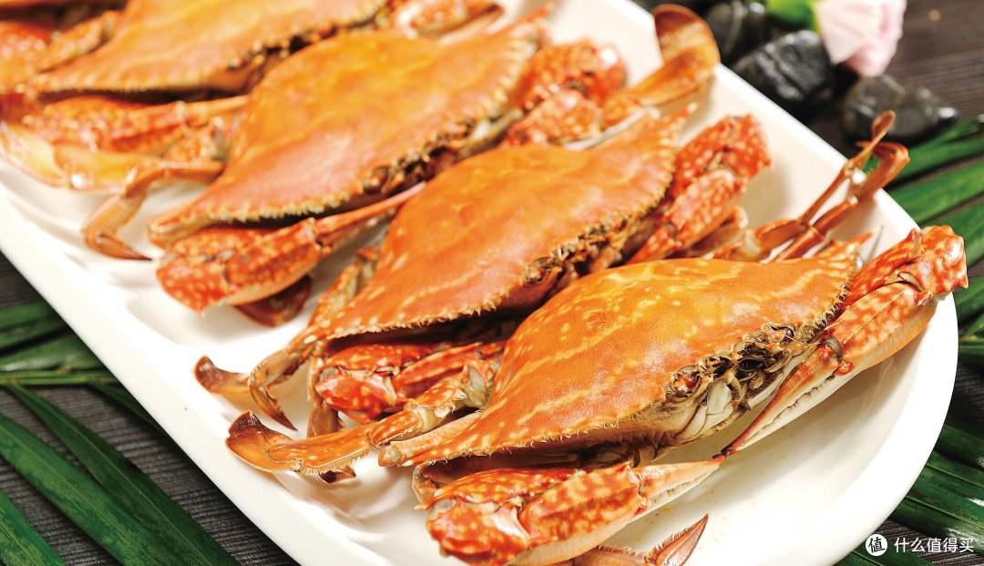 海洋美食新宠,梭子蟹带你领略独特鲜甜滋味!