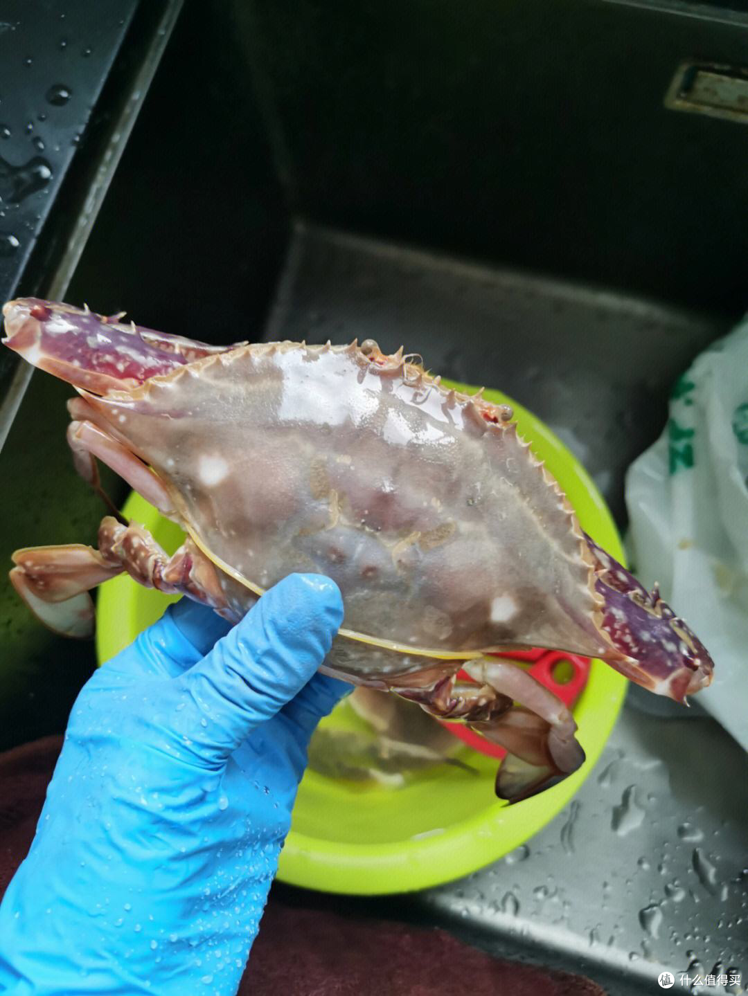 海洋美食新宠,梭子蟹带你领略独特鲜甜滋味!