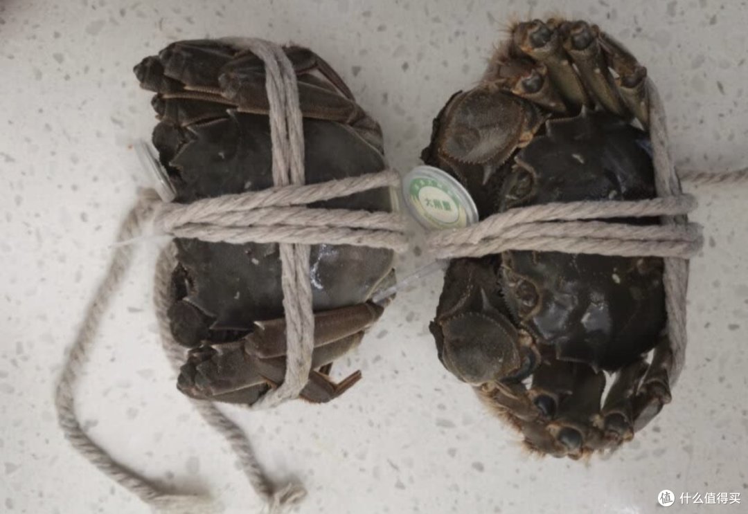 九月的大闸蟹,非常美味