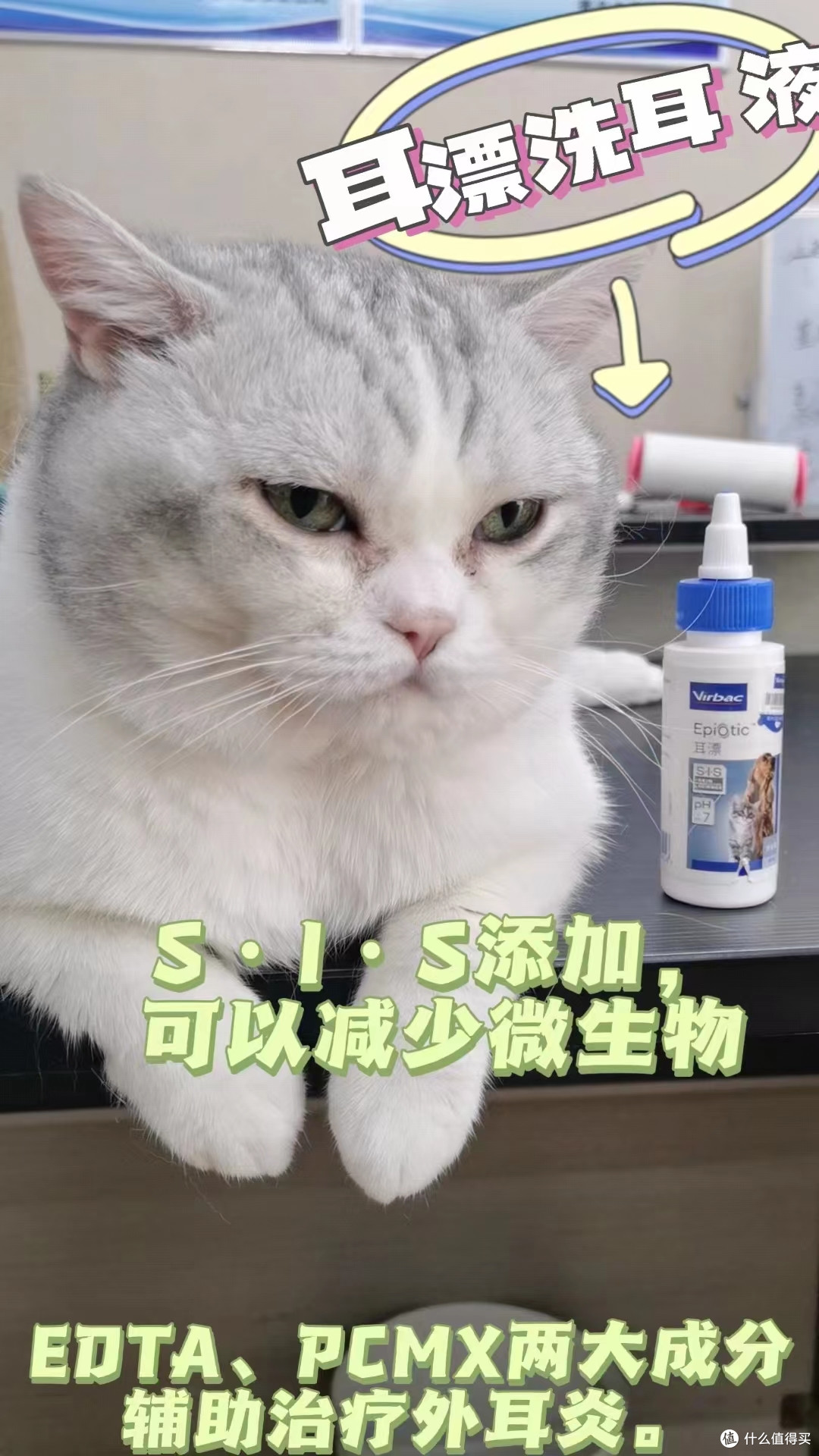 耳螨治疗很简单,对症用药才能好得快
