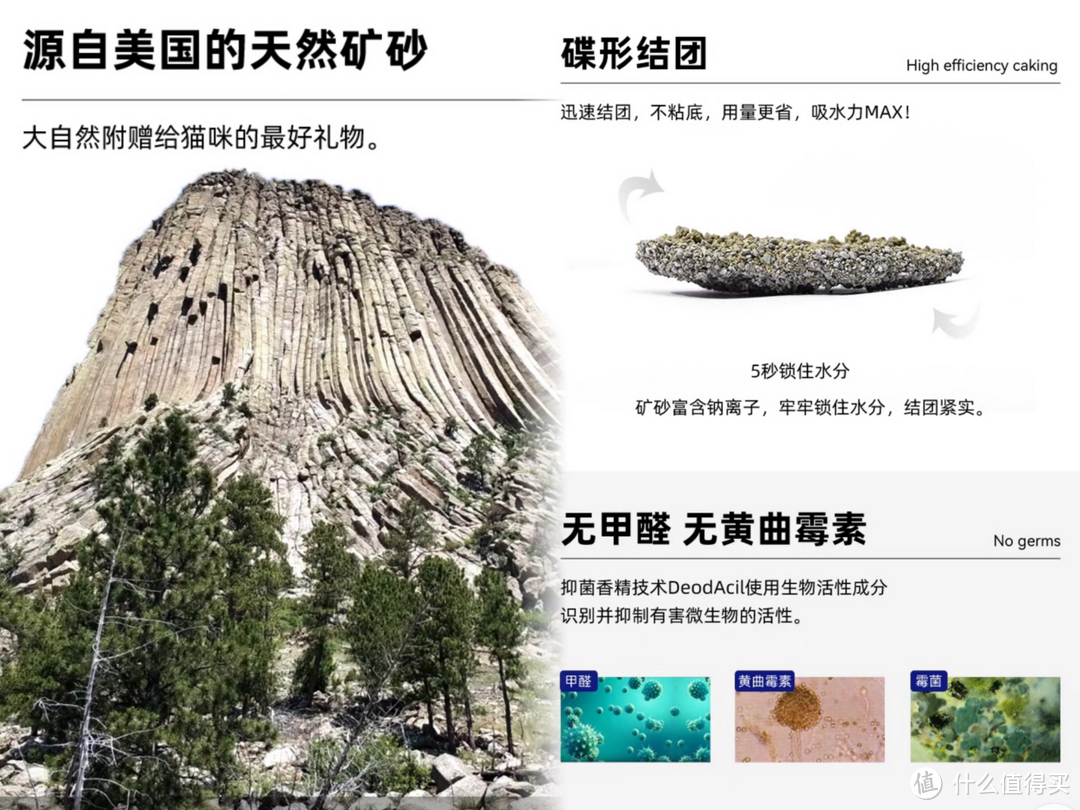 2023年膨润土猫砂选购指南|Ever Clean、Petree、铁锤、蓝钻、Catlink、MoJo魔球、CatMagic