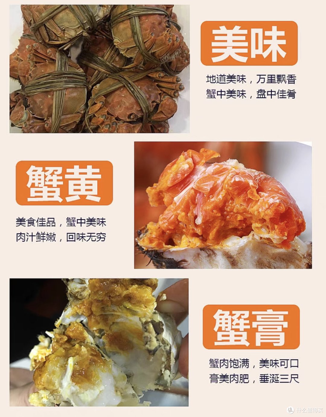 品尝阳澄湖大闸蟹，教你挑选最新鲜的!