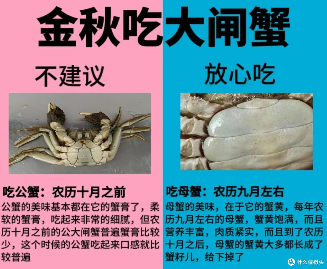 大闸蟹选购指南：了解这些知识点，买到的都是对的!