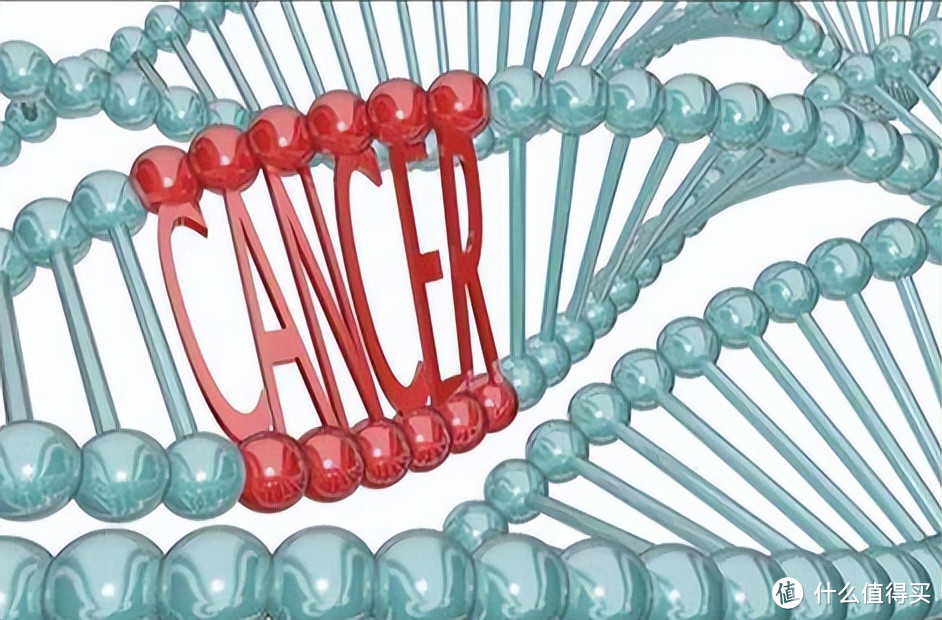 癌症植根于我们的基因中