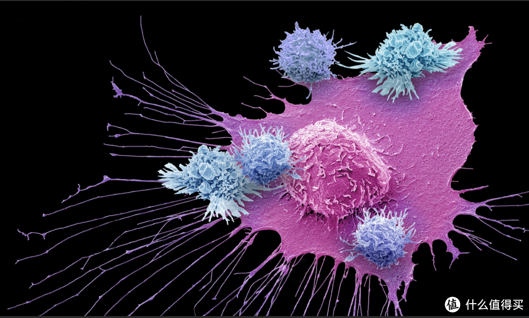 前沿科学可以治疗癌症吗？