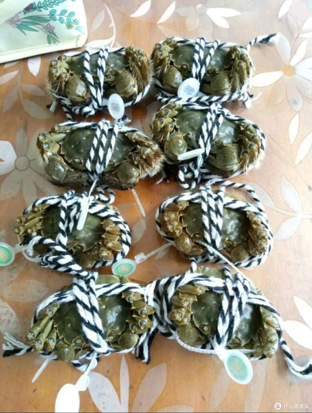 晒晒我的今锦阳澄湖大闸蟹