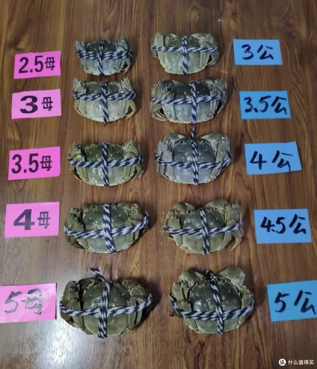盘点大闸蟹你不知道的事－挑蟹小技巧！