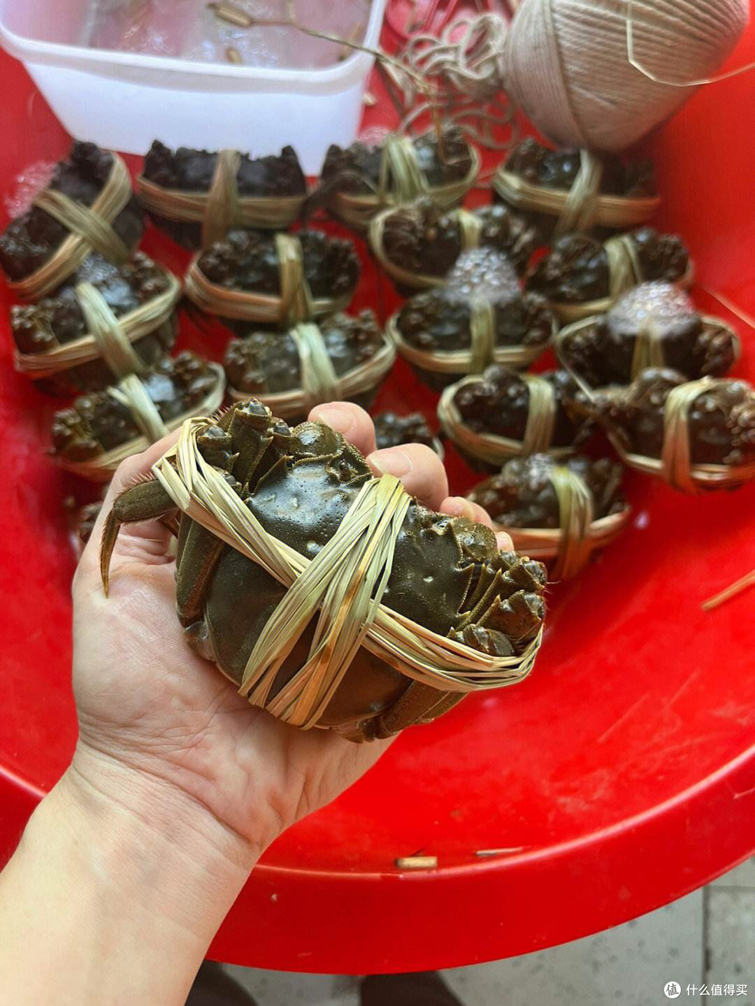 品尝大闸蟹,感受金秋美味