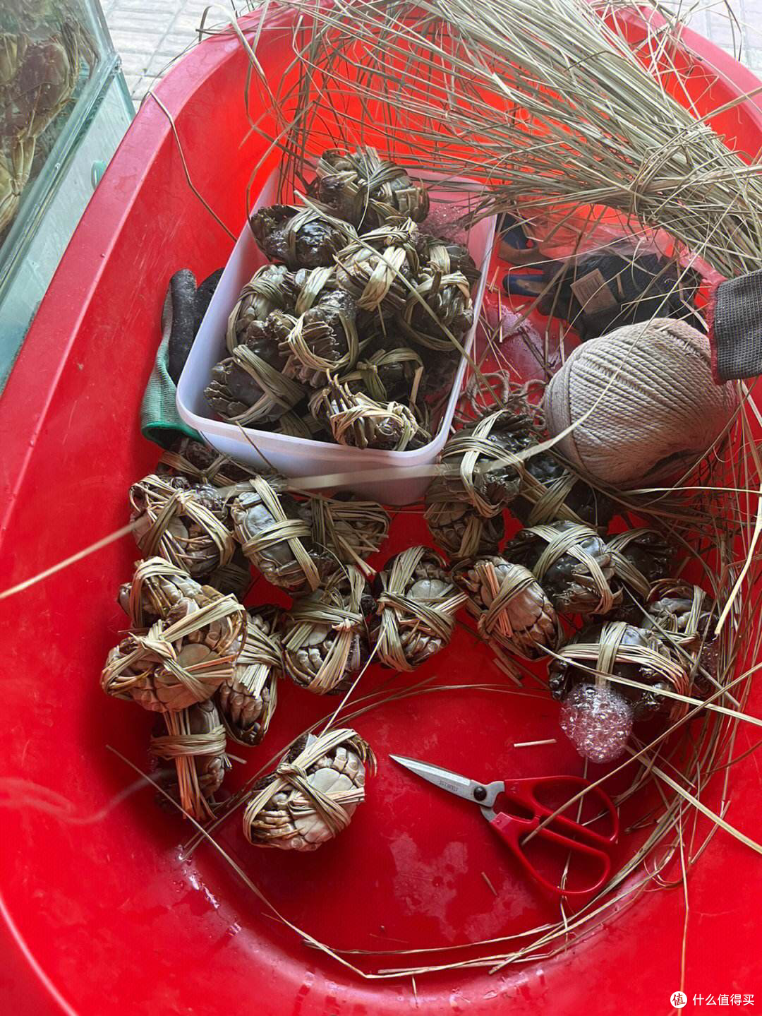 品尝大闸蟹,感受金秋美味