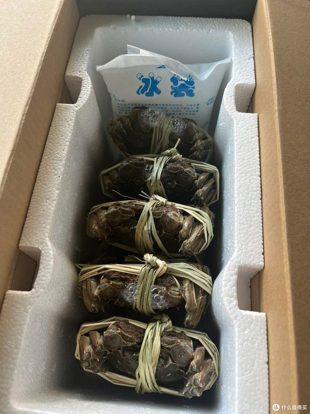 品尝大闸蟹,感受金秋美味