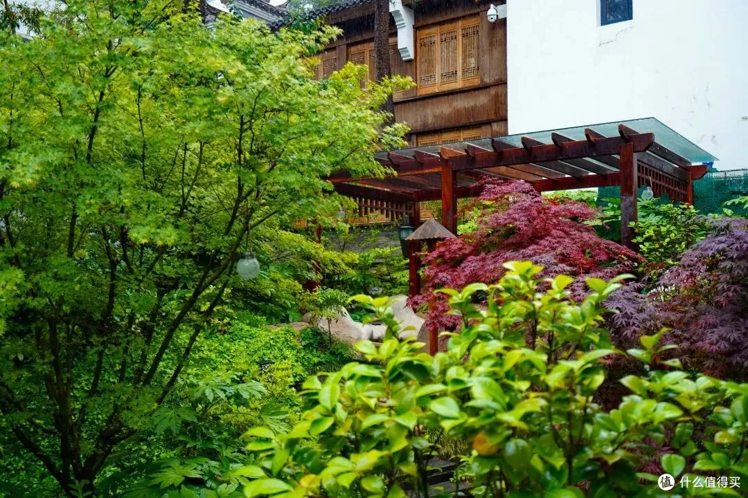 黄山祥源云谷酒店，出门即索道，高阶特种兵首选！
