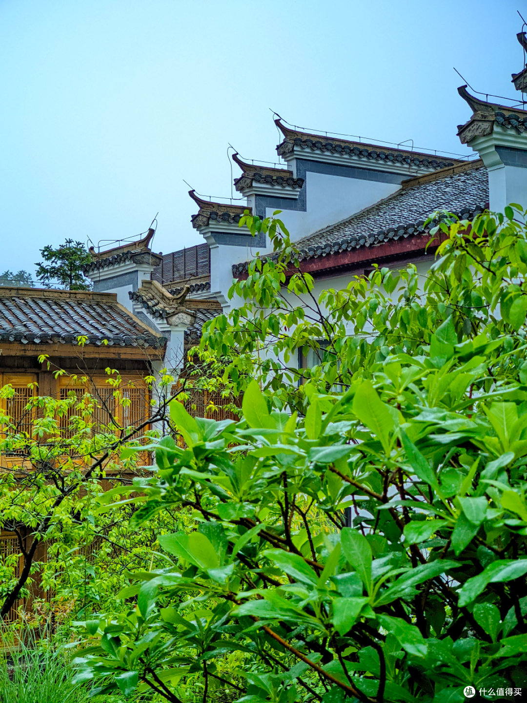 黄山祥源云谷酒店，出门即索道，高阶特种兵首选！