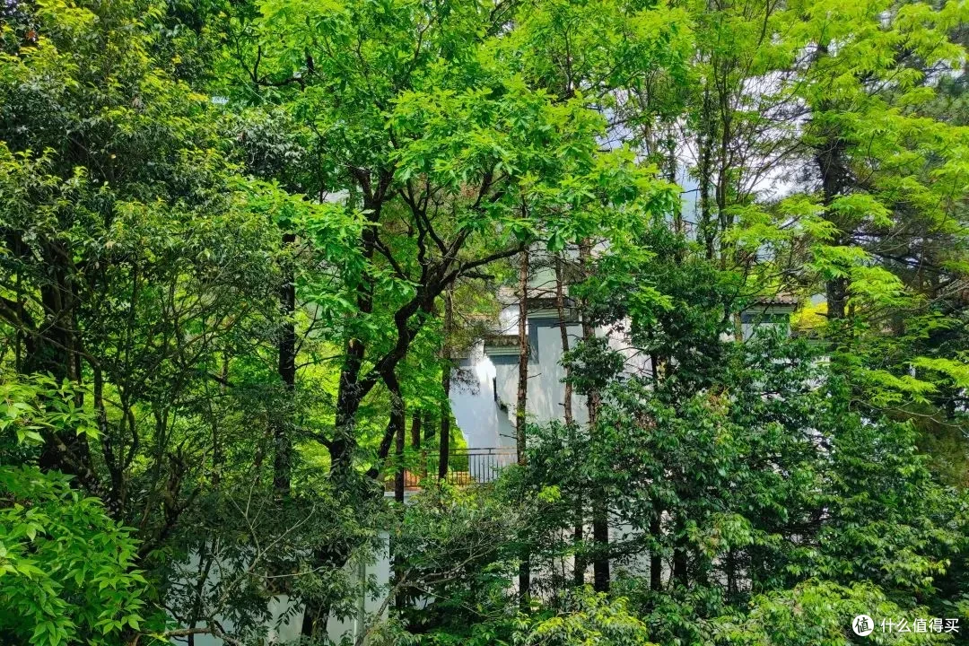 黄山祥源云谷酒店，出门即索道，高阶特种兵首选！