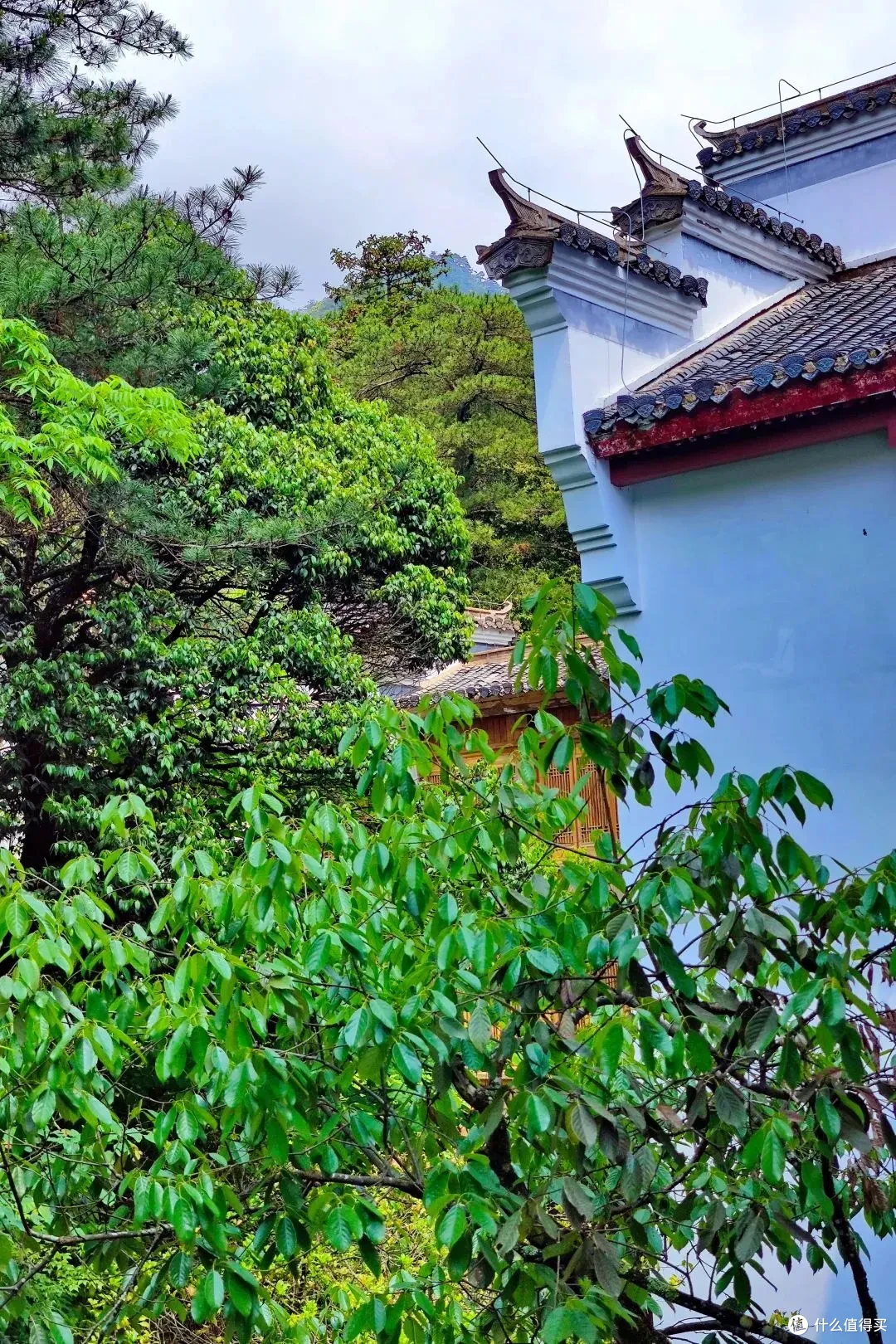 黄山祥源云谷酒店，出门即索道，高阶特种兵首选！