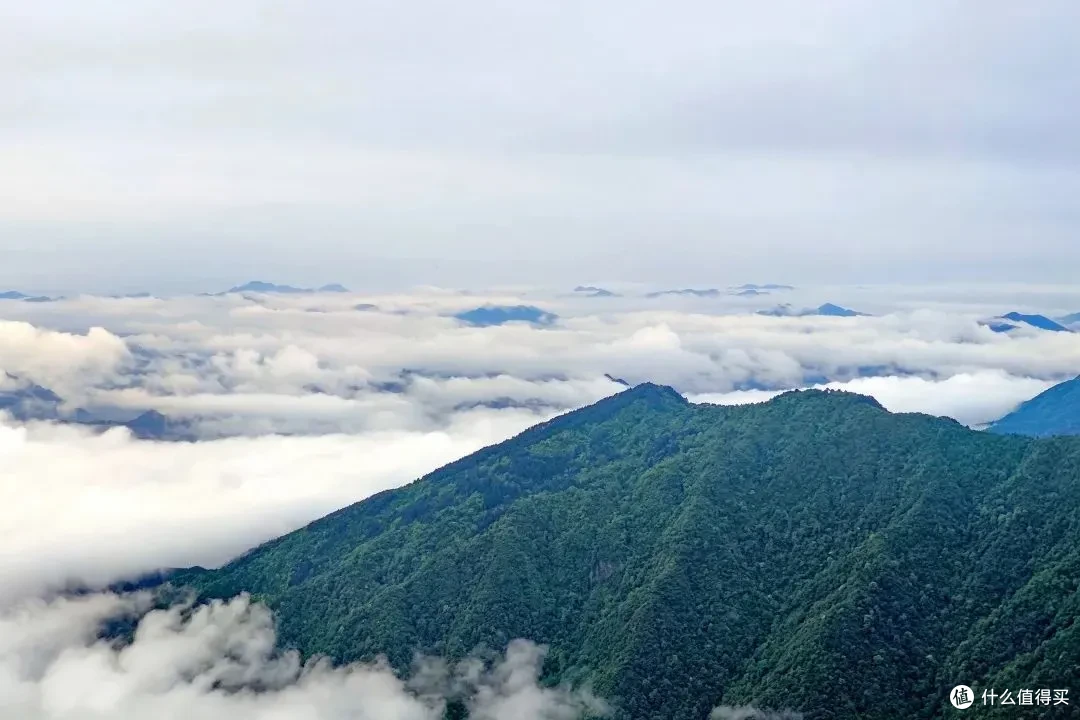 黄山祥源云谷酒店，出门即索道，高阶特种兵首选！