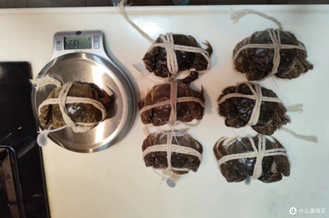 大闸蟹美味滋味,尽在舌尖间!