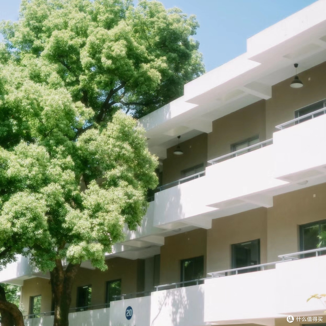 【青春岁月,桌前桌后】留下永恒的回忆
