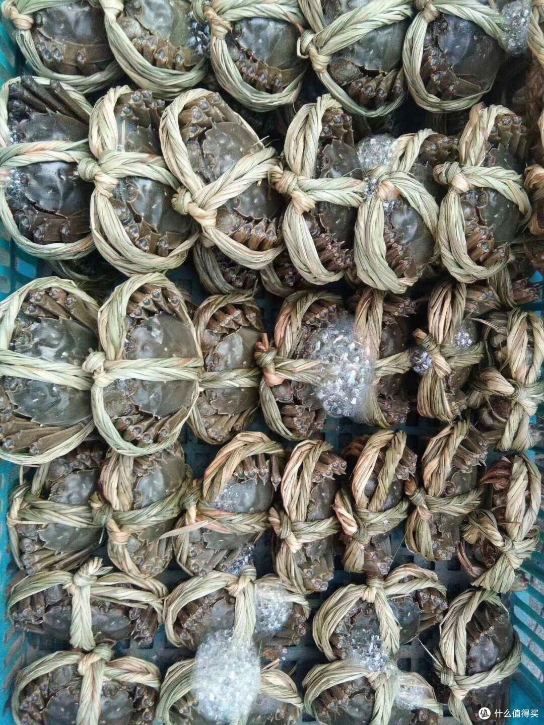 每天吃一只大闸蟹,健康快乐过秋天!