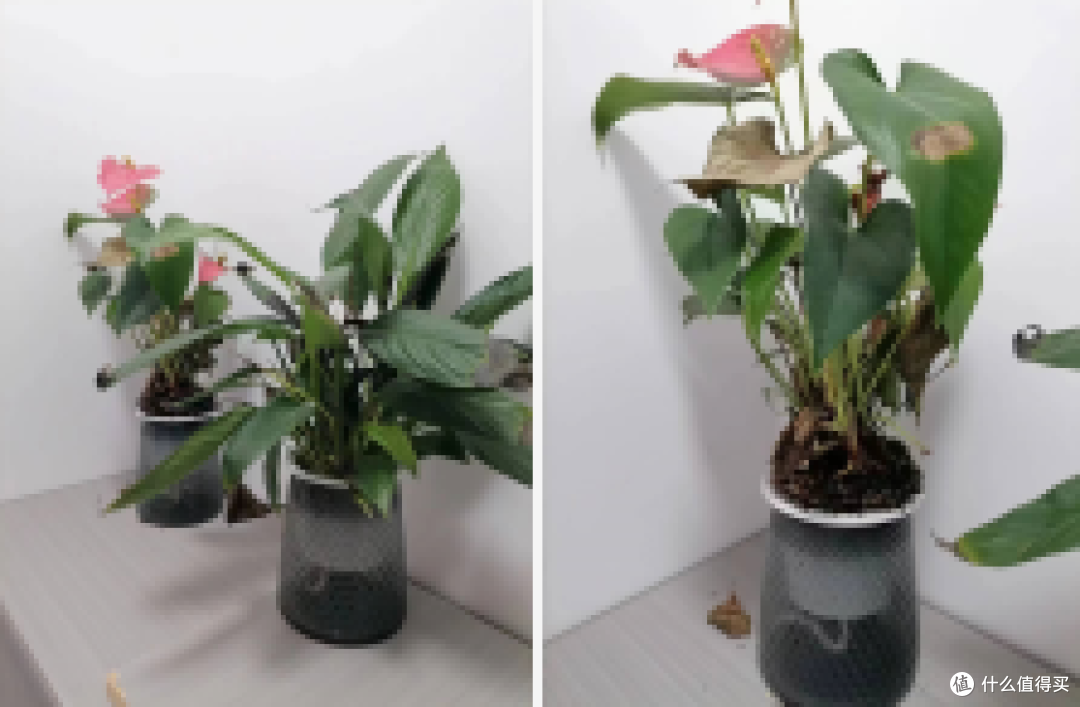 空气净化器有用吗?