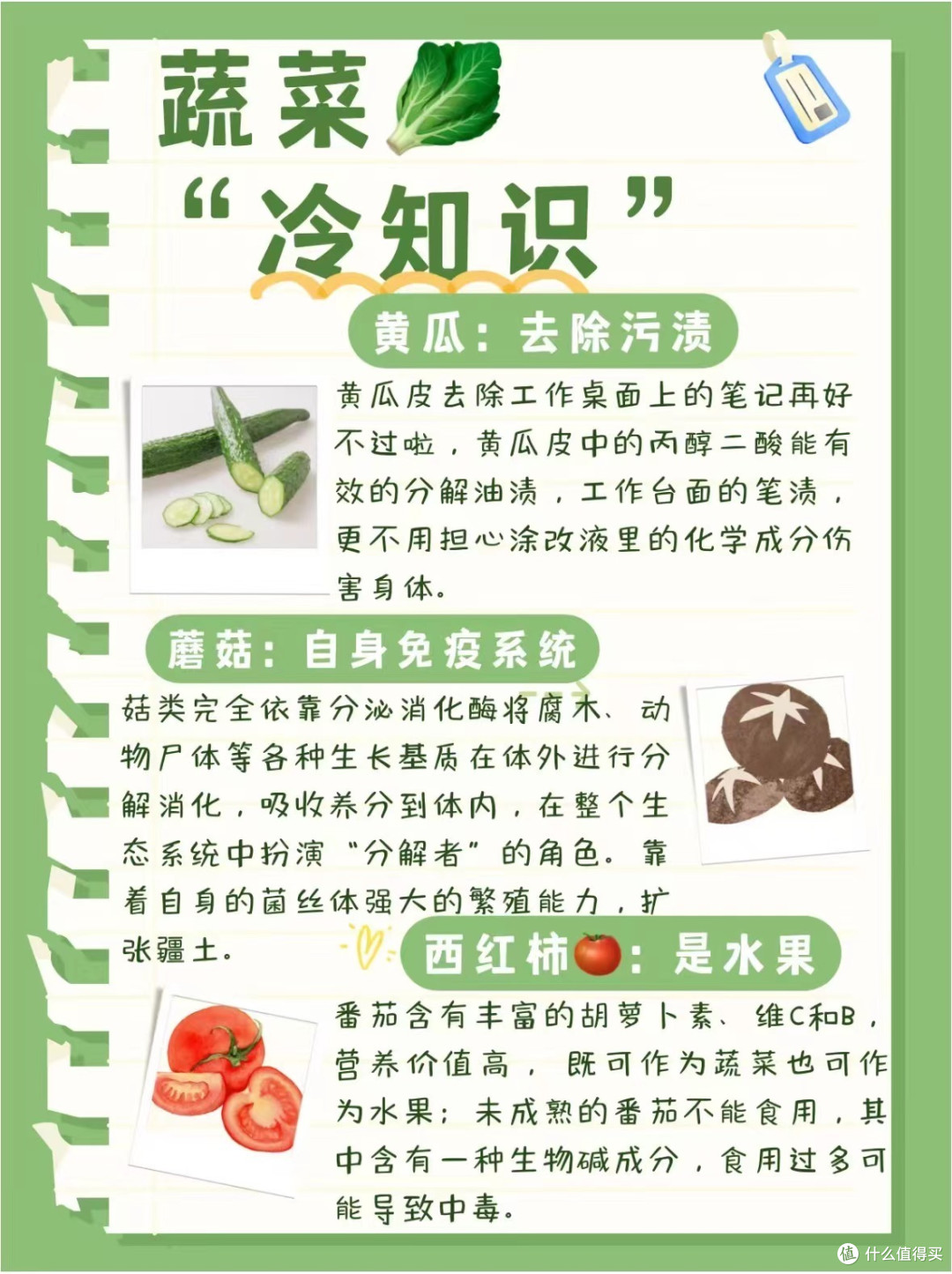 13个蔬菜冷知识,你知道吗❓
