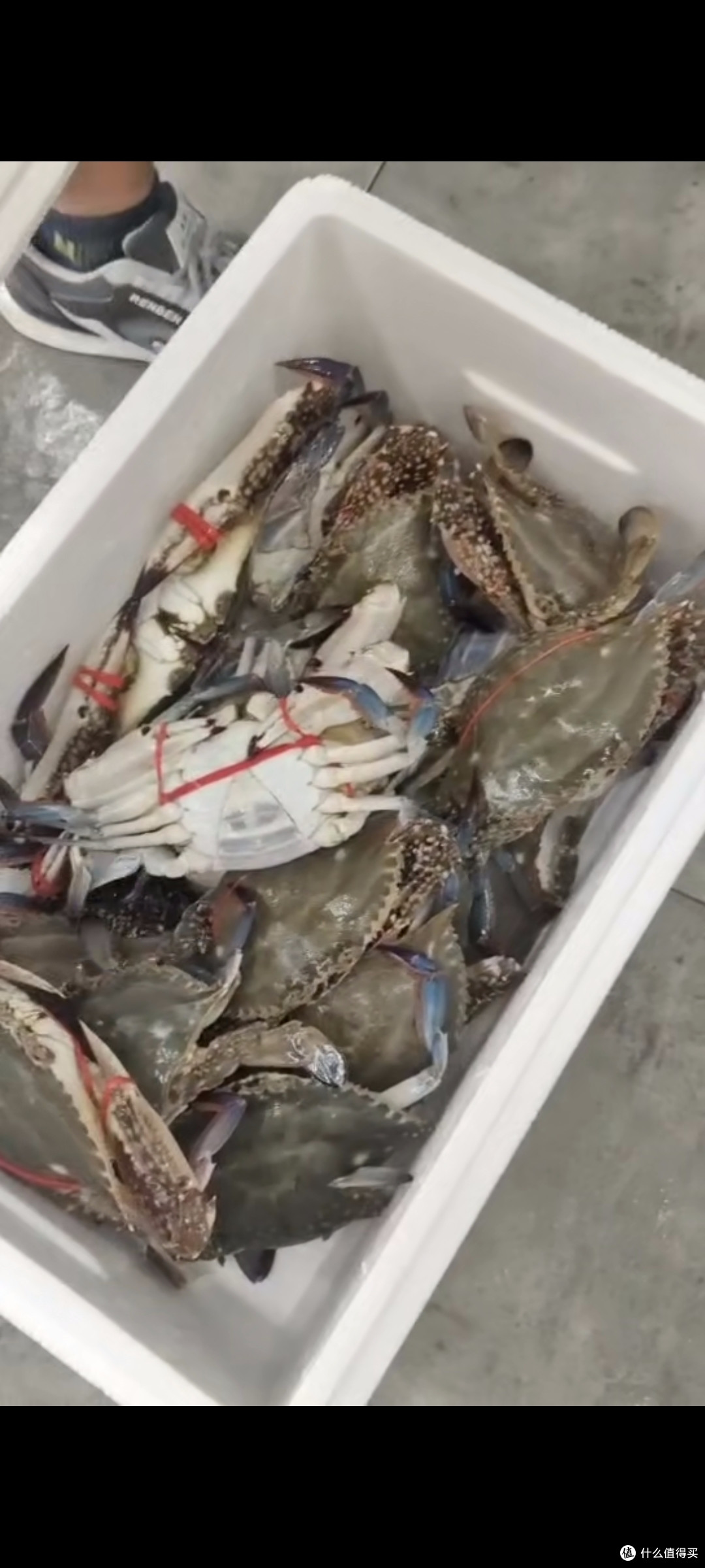 金秋螃蟹之鲜甜美味的海蟹