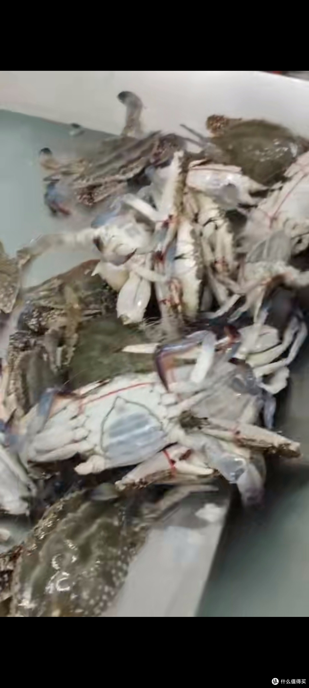 金秋螃蟹之鲜甜美味的海蟹