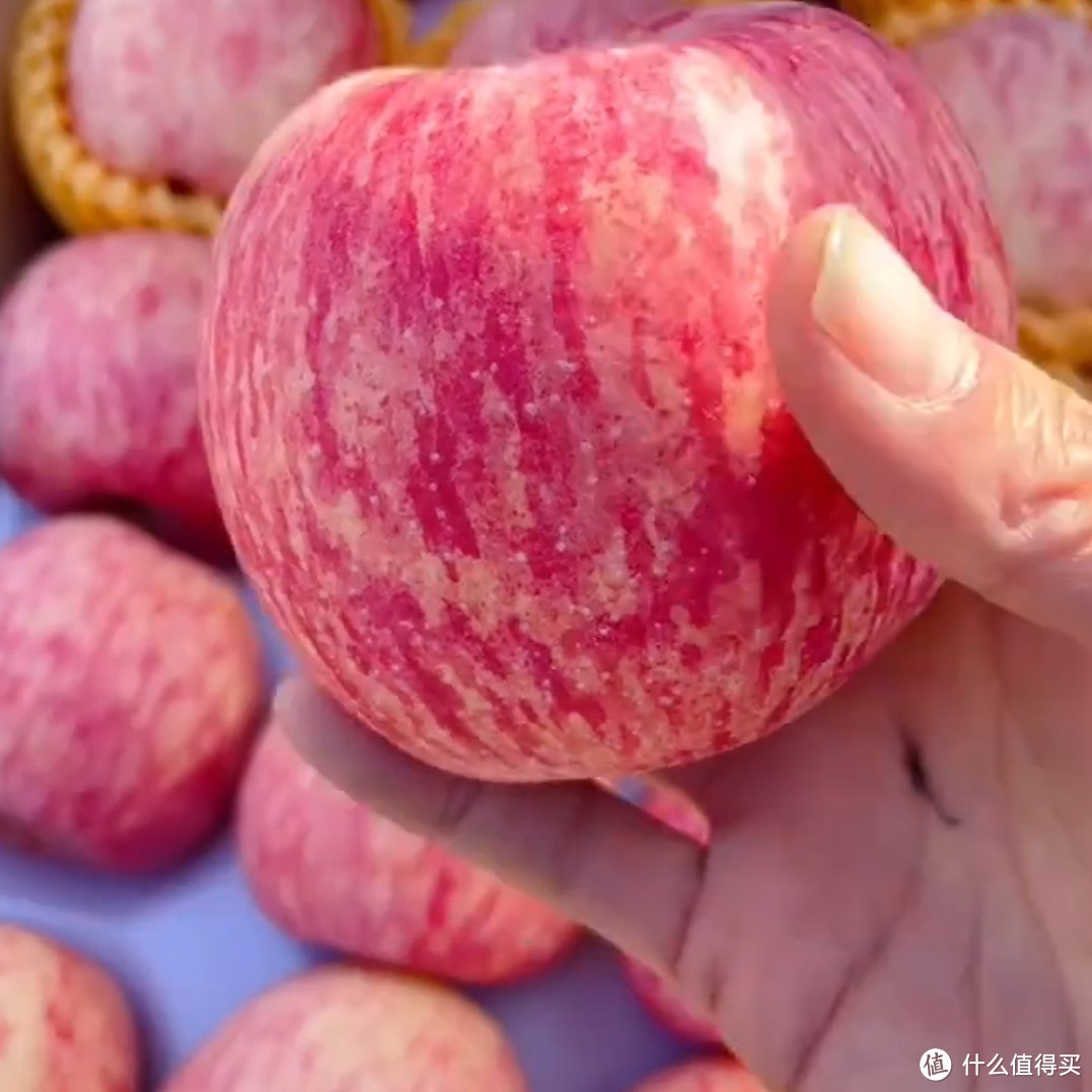 秋季，这些水果你吃对了吗？？