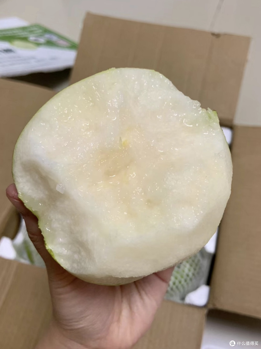 夏天天气很干燥,需要滋润,砀山酥梨很不错的选择