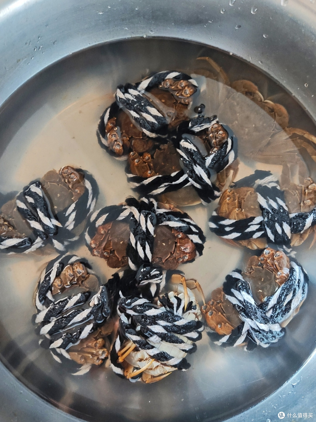 又到吃蟹季,大闸蟹你会挑选吗?