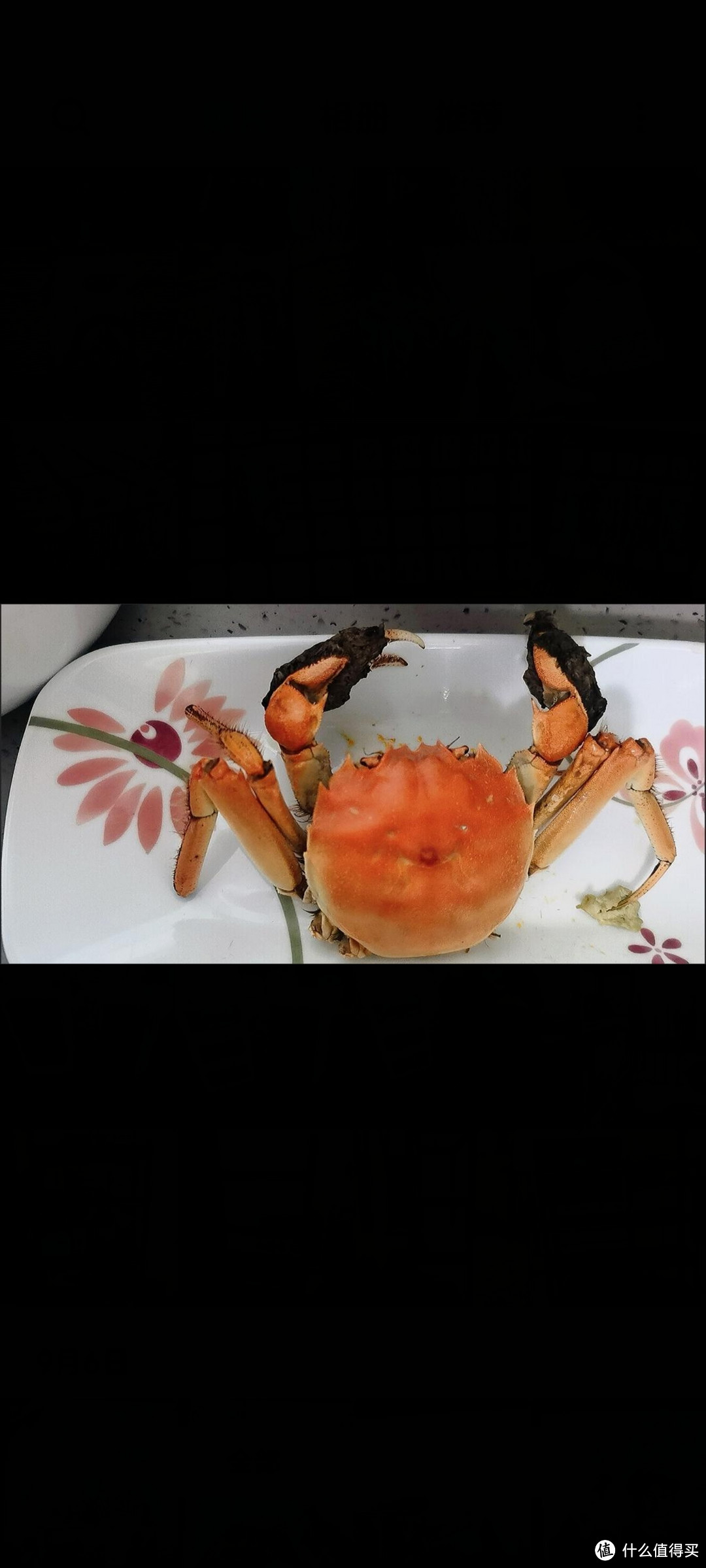 稻田蟹🦀真的好可爱啊