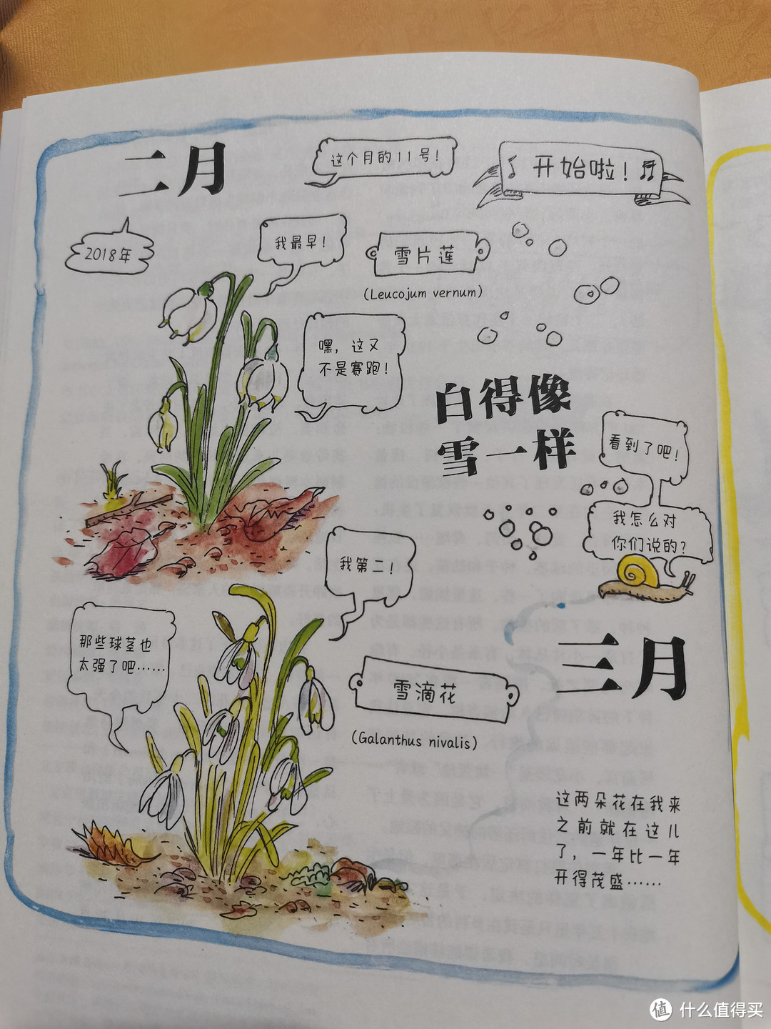 不是因为美好才去发现,而是因为发现才会变得美好!四季流转中的小美好-《小花园 365 日》