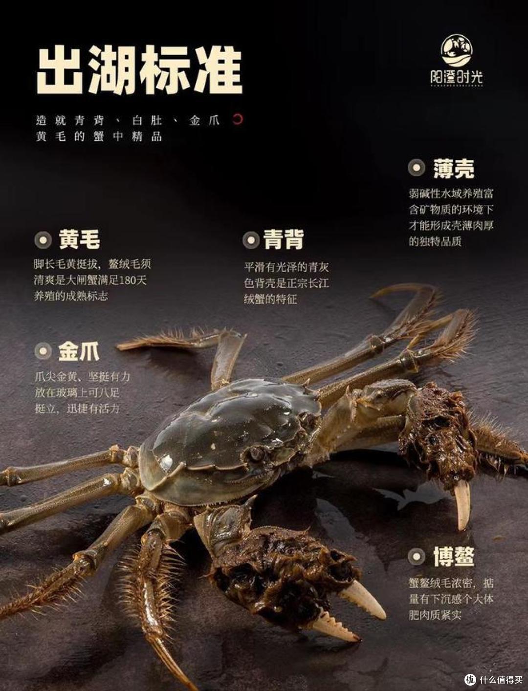 金秋之星：大闸蟹我们走！