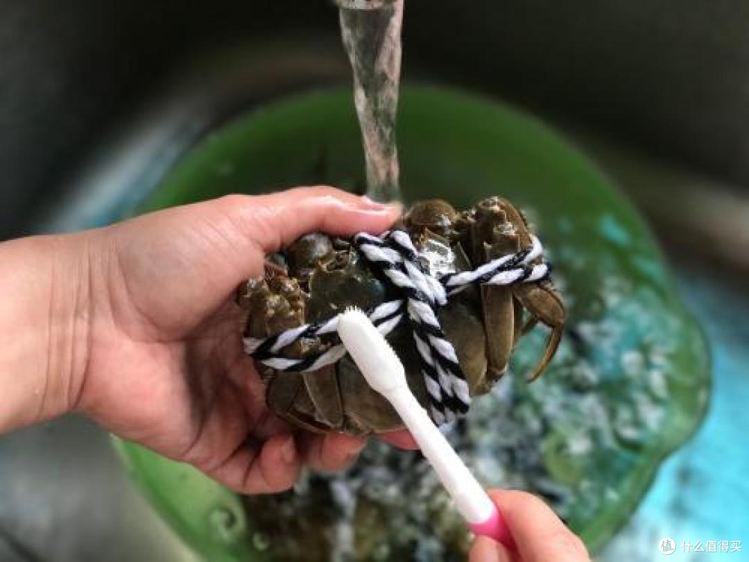 金秋之星：大闸蟹我们走！