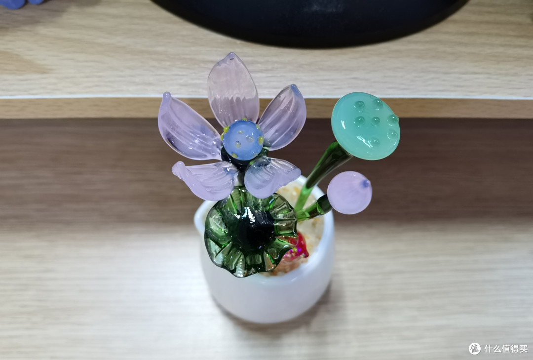 get装点办公桌一角新技能,养不活绿植就“养”它吧😁