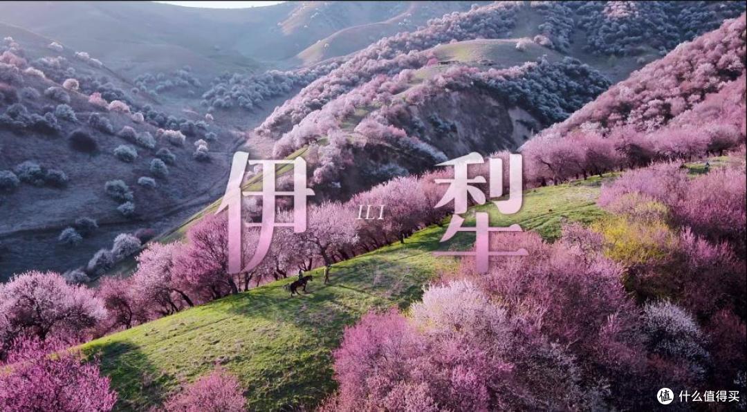 《山河中国》「天山,因何伟大?」探寻古丝绸之路,传承千年文明